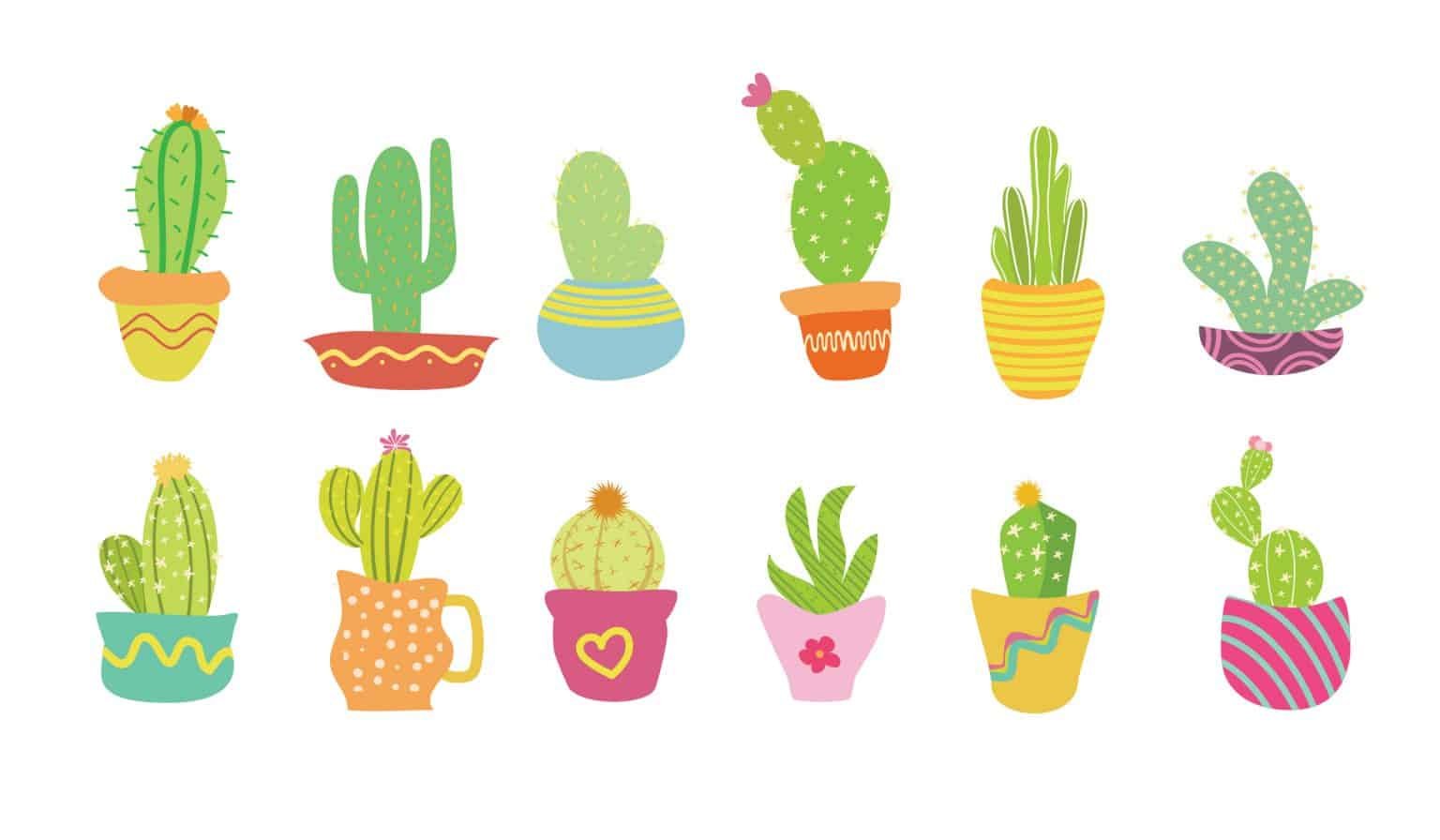 cactus-vintagio-design